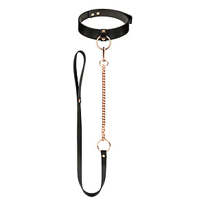 Rosy Gold Collar with Leash (Black), obojok s vodítkom